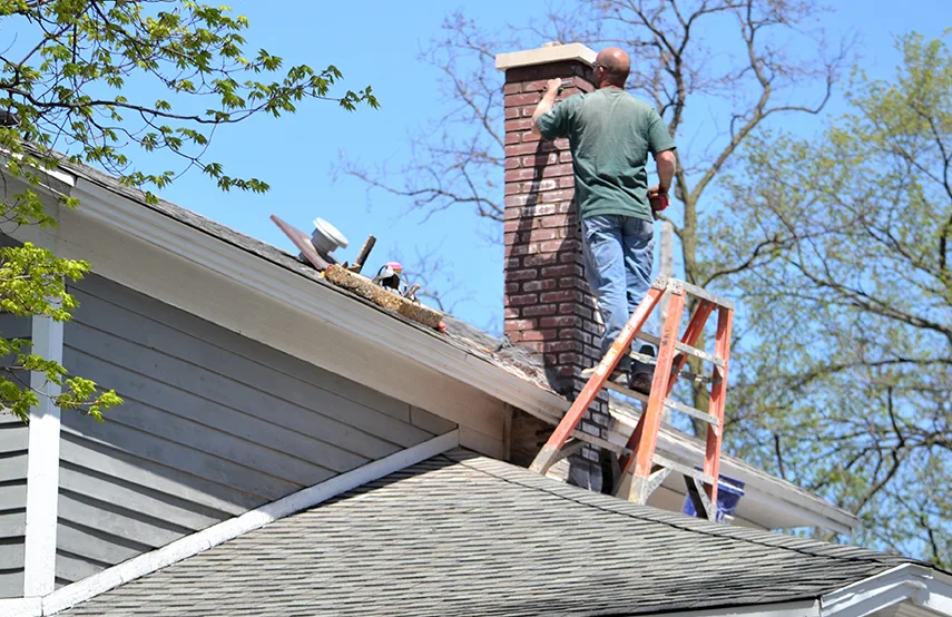 Chimney & Fireplace Inspections Services in Ozark, AL